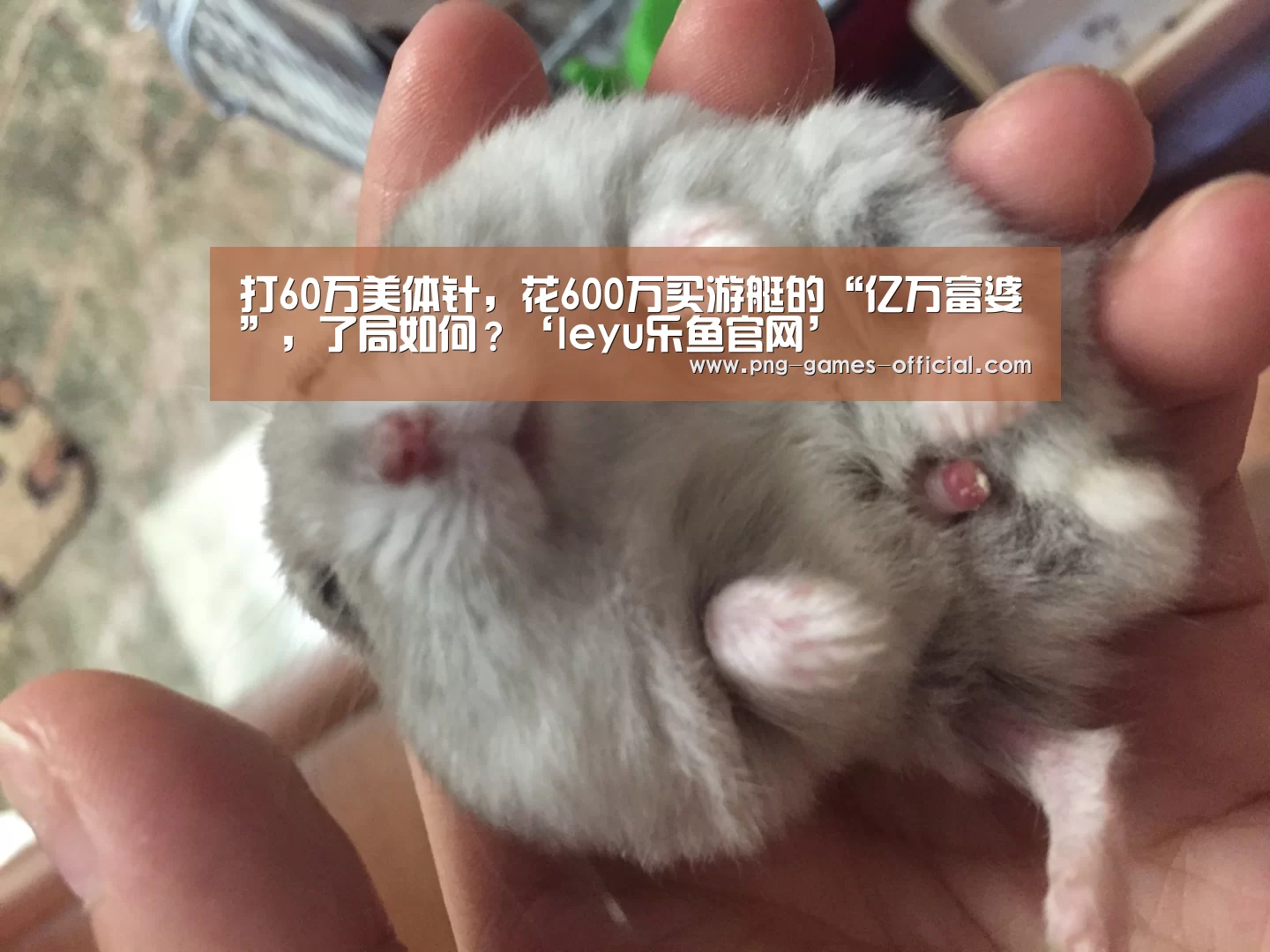 打60万美体针,花600万买游艇的“亿万富婆”,了局如何?‘leyu乐鱼官网’(图1) leyu乐鱼APP下载
