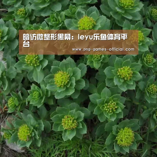 暗访微整形黑幕:leyu乐鱼体育平台(图1) leyu乐鱼官网