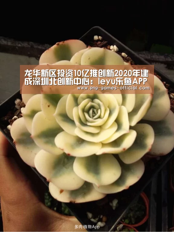 龙华新区投资10亿推创新2020年建成深圳北创新中心:leyu乐鱼APP下载(图2) leyu乐鱼体育平台