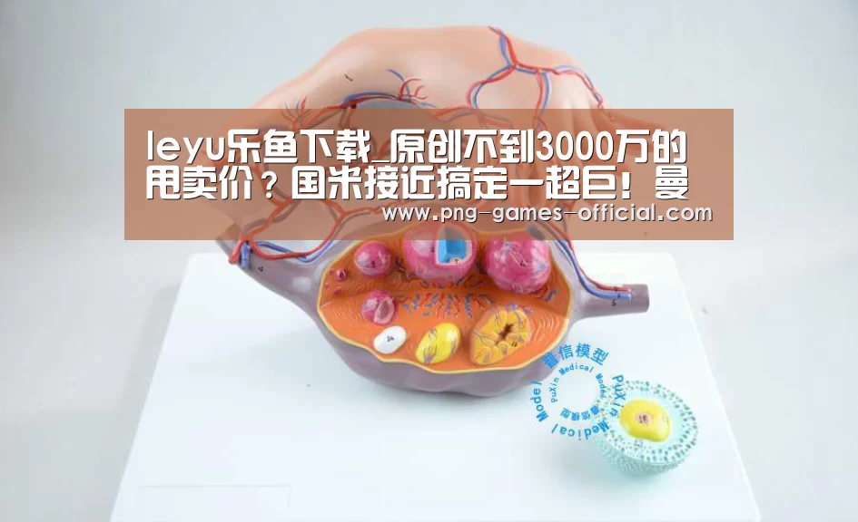 leyu乐鱼下载_原创不到3000万的甩卖价?国米接近搞定一超巨!曼联热刺坐不住了(图3) leyu乐鱼官网